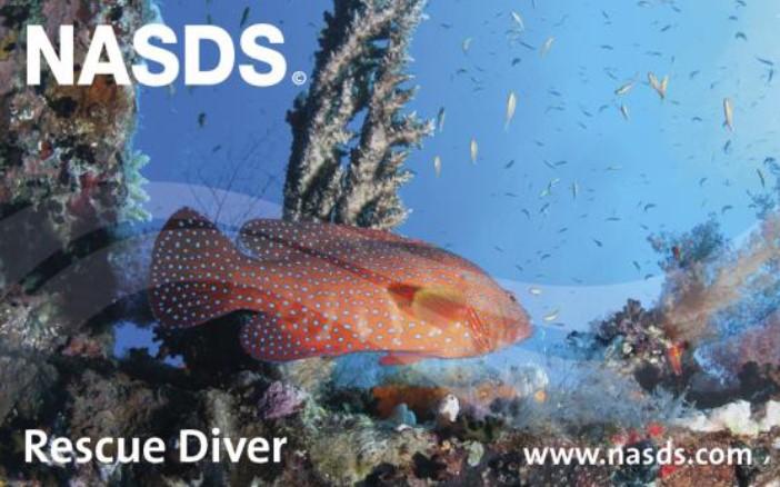 nasds_rescue_diver