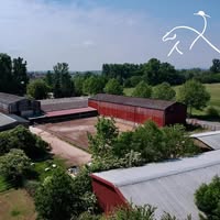 Golden Grape Ranch GbR – Sport & Freizeit / Pferdezucht